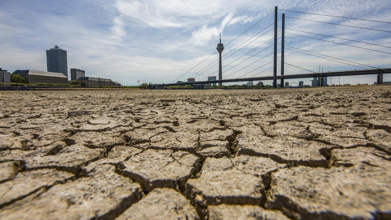 Zu sehen ist der rissige Grund des Rheins bei Düsseldorf nach einer langen Dürreperiode.