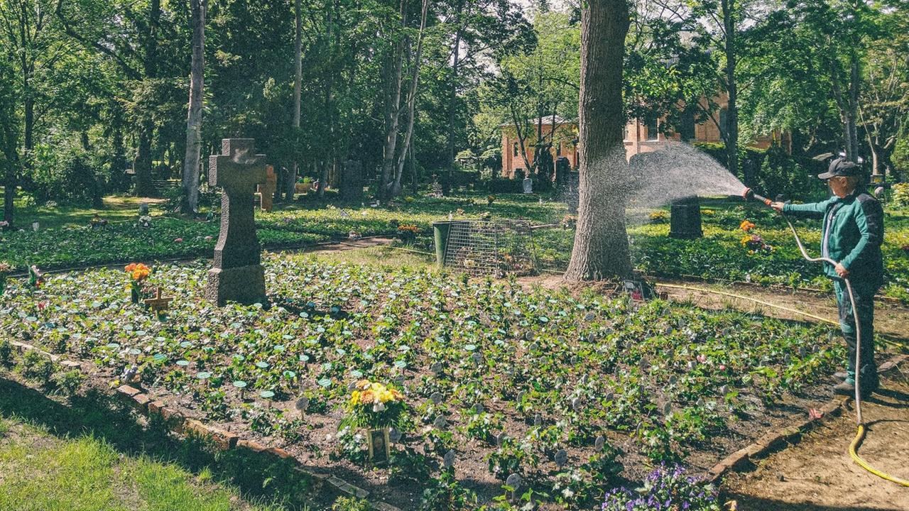 Der Friedhofsgärtner wässert das Gemeinschaftsgrab für ordnungsbehördlich Bestattete.
