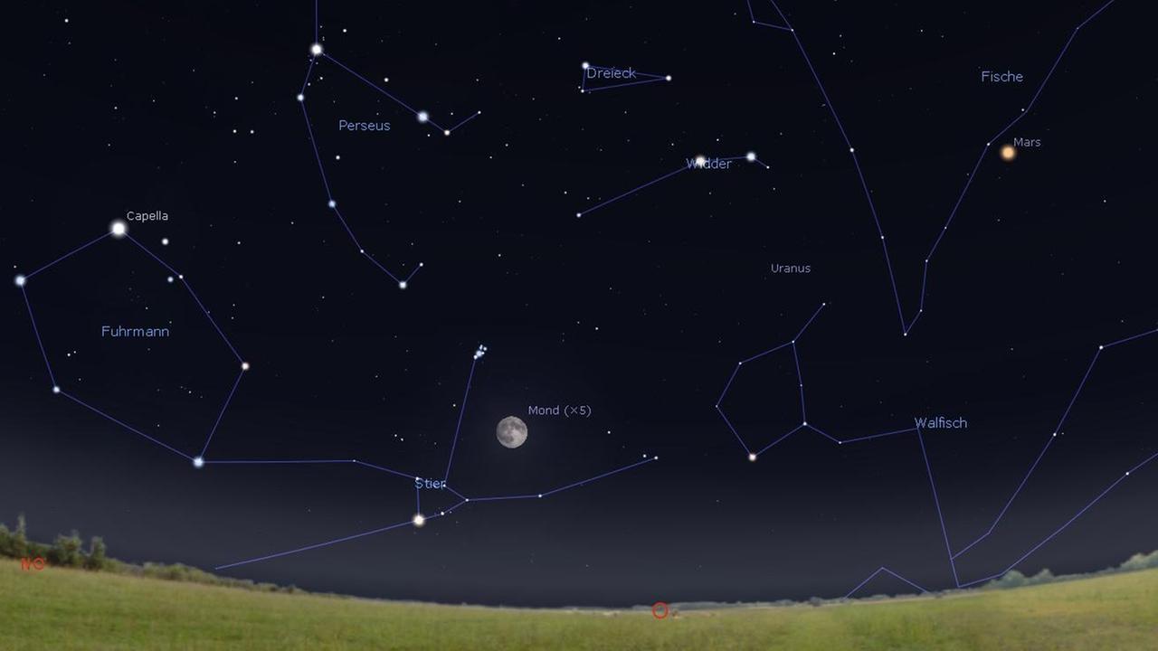 Heute steht der fast volle Mond mitten im Sternbild Stier