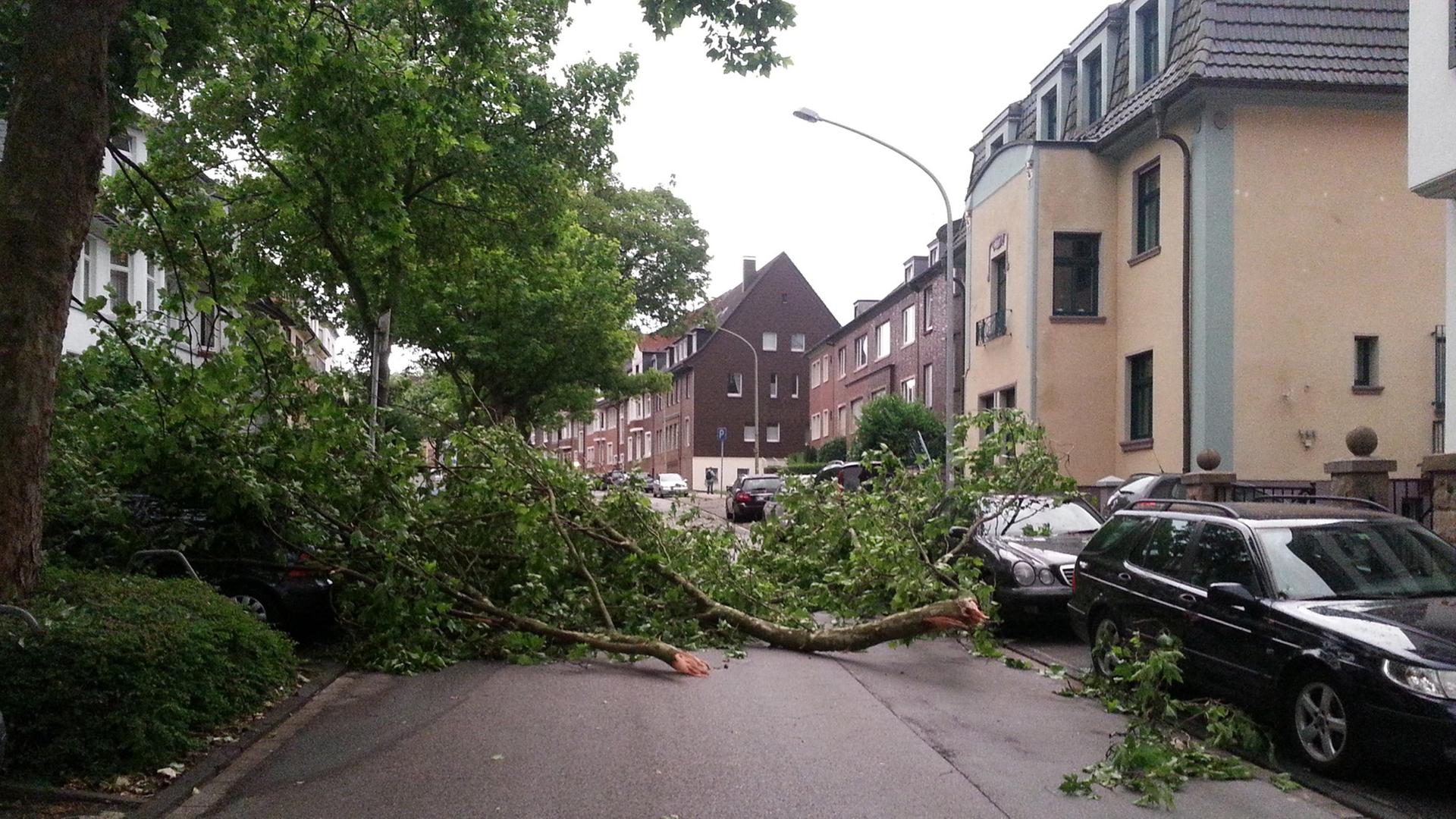 Der Sturm hat in der Stadt Essen Äste von Bäumen abgeknickt.