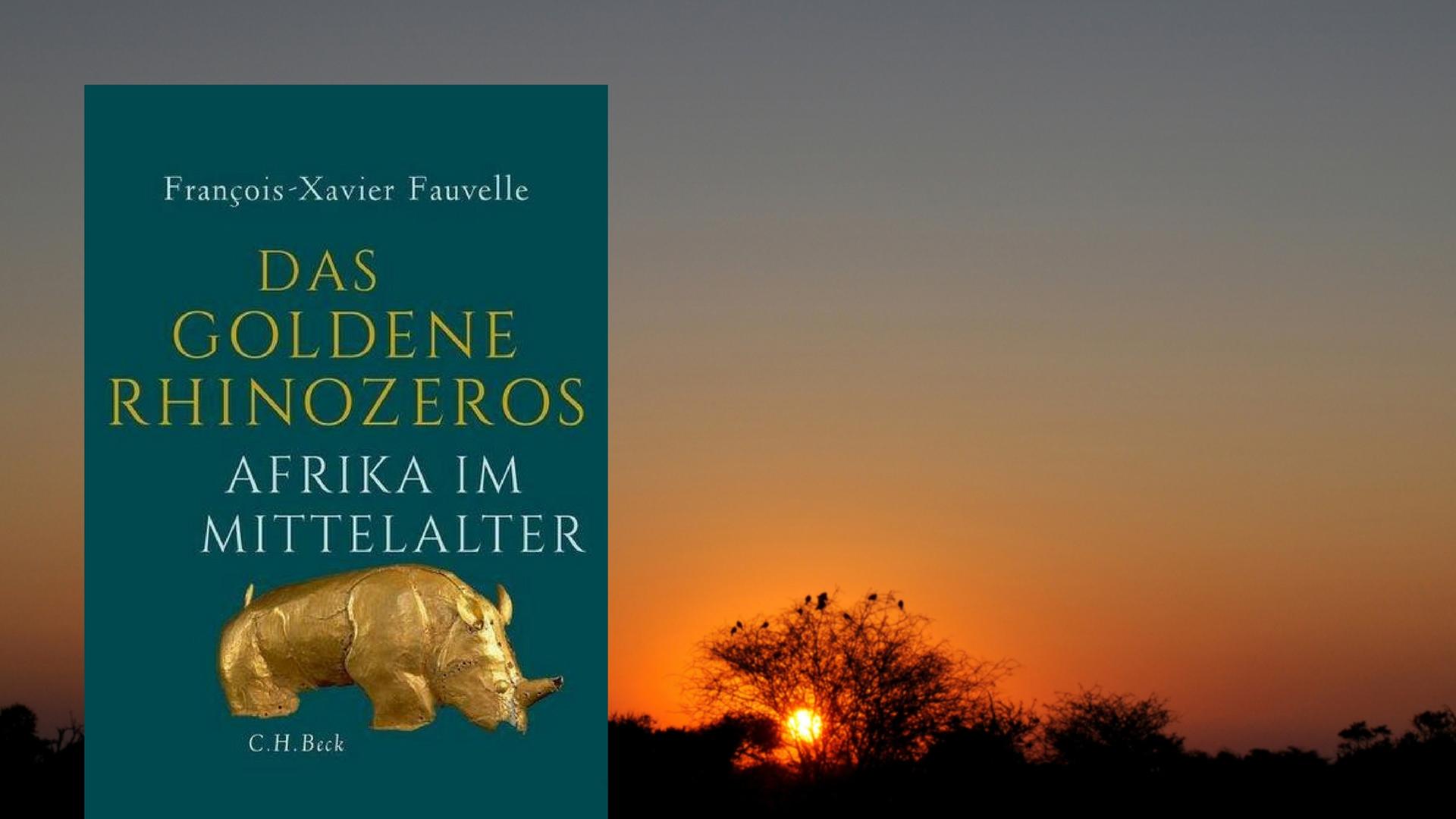 Cover François-Xavier Fauvelle: Das goldene Rhinozeros