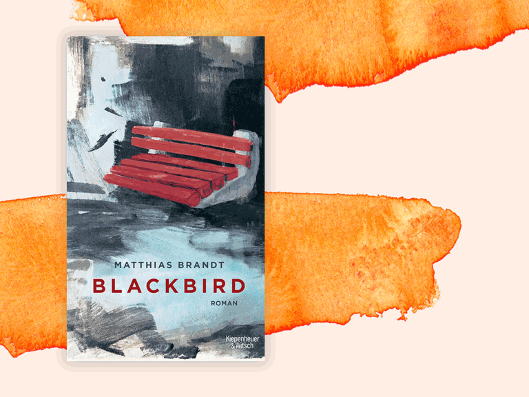 Buchcover Matthias Brandt "Blackbird"