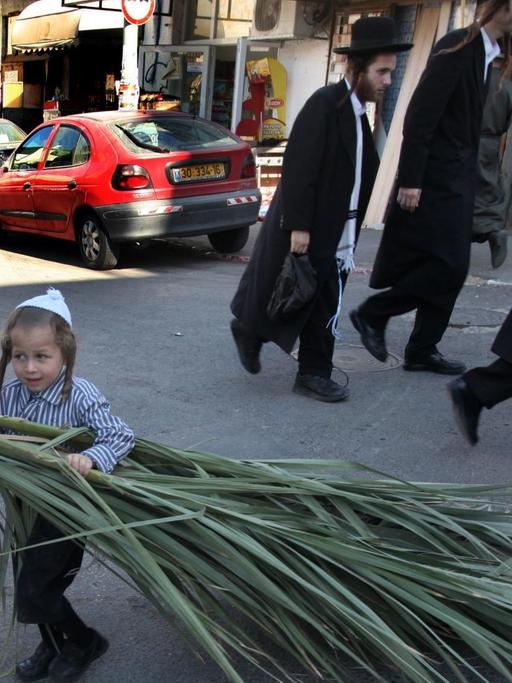 An ultra-Orthodox Jewish boy helps his father with a large palm branch as they shop for materials to build their family's 'succa' or hut before the start of the week-long Jewish holiday of Sukkot, in the Mea Shearim neighborhood of Jerusalem on 19 September 2010. Sukkot commemorates the Israelites 40 years of wandering in the desert and a decorated hut or tabernacle is erected outside religious households as a sign of temporary shelter. EPA/YOSSI ZAMIR ISRAEL OUT |