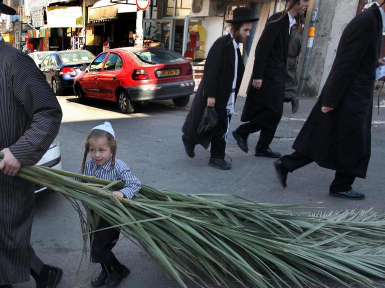 An ultra-Orthodox Jewish boy helps his father with a large palm branch as they shop for materials to build their family's 'succa' or hut before the start of the week-long Jewish holiday of Sukkot, in the Mea Shearim neighborhood of Jerusalem on 19 September 2010. Sukkot commemorates the Israelites 40 years of wandering in the desert and a decorated hut or tabernacle is erected outside religious households as a sign of temporary shelter. EPA/YOSSI ZAMIR ISRAEL OUT |