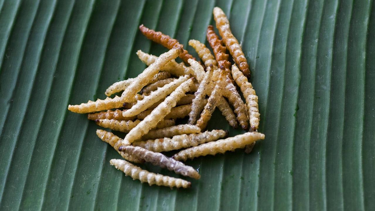 Frittierte Maden auf einem Bananenblatt zum Essen angeboten 