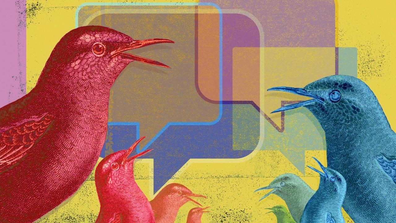 Illustration des Internetkonzern 'Twitter': Vögel kommunizieren mit vielen farbigen Sprechblasen.