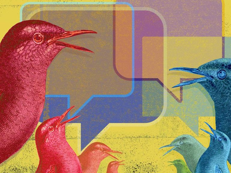 Illustration des Internetkonzern 'Twitter': Vögel kommunizieren mit vielen farbigen Sprechblasen.