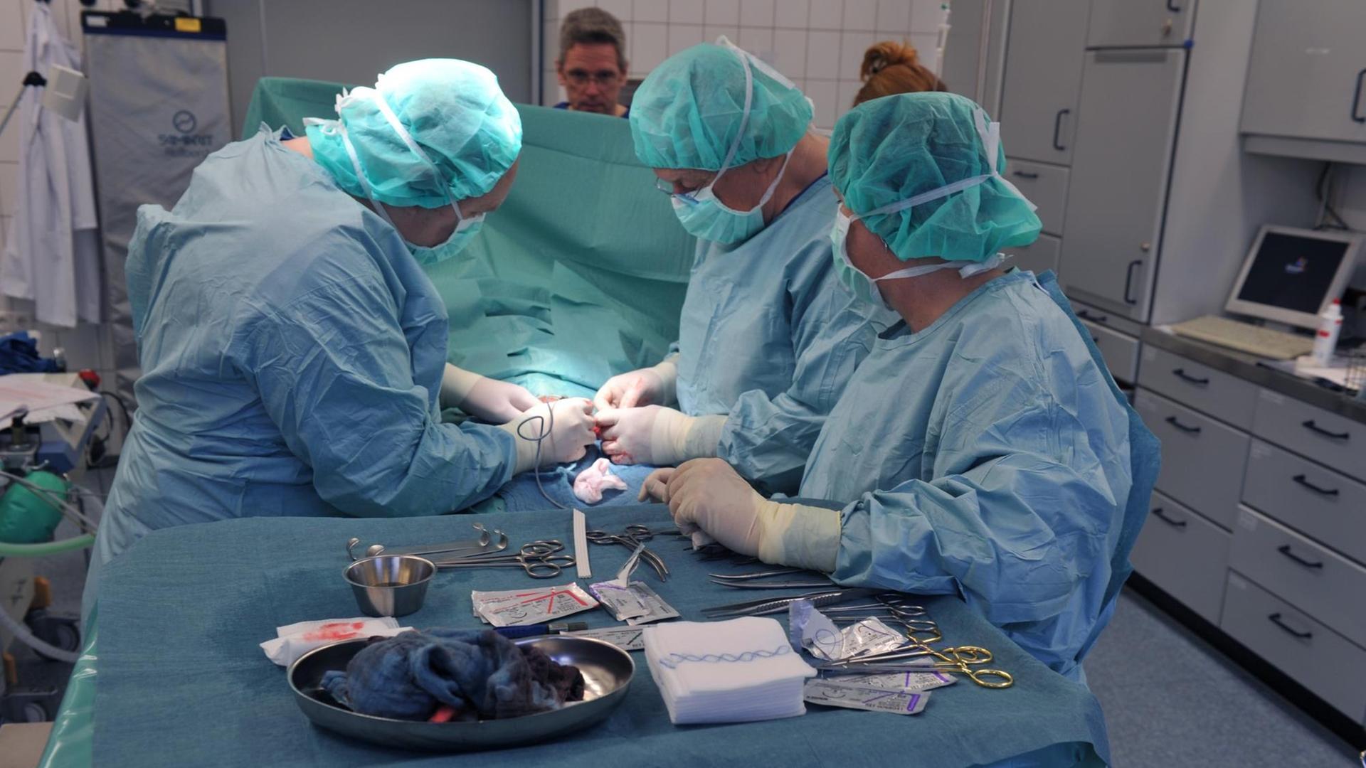 Einen guten Ruf geniesst zu recht die Urologische Station des Elisabethkrankenhauses in Iserlohn. Zahlreiche Patienten des Kreises werden von ihren Hausärzten zur Behandlung hierher geschickt. Das Foto zeigt eine urologische Hoden-Operation. | Verwendung weltweit Einen guten Ruf geniesst zu recht die Urologische Station des Elisabethkrankenhauses in Iserlohn. Zahlreiche Patienten des Kreises werden von ihren Hausärzten zur Behandlung hierher geschickt. Das Foto zeigt eine urologische Hoden-Operation. | Verwendung weltweit