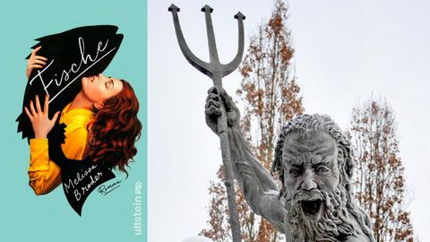 Buchcover "Fische" von Melissa Broder und im Hintergrund Zeus