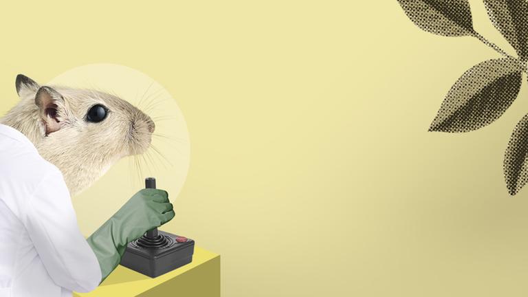 Leider liegt für dieses Bild keine Bildbeschreibung vor