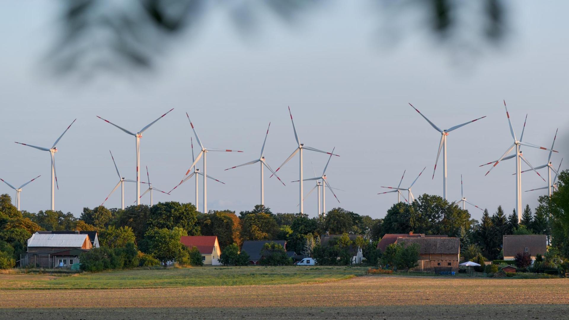 Im brandenburgischen Sieversdorf stehen viele Windräder eines Windparkes in unmittelbarer Nähe zu Einfamilienhäusern.