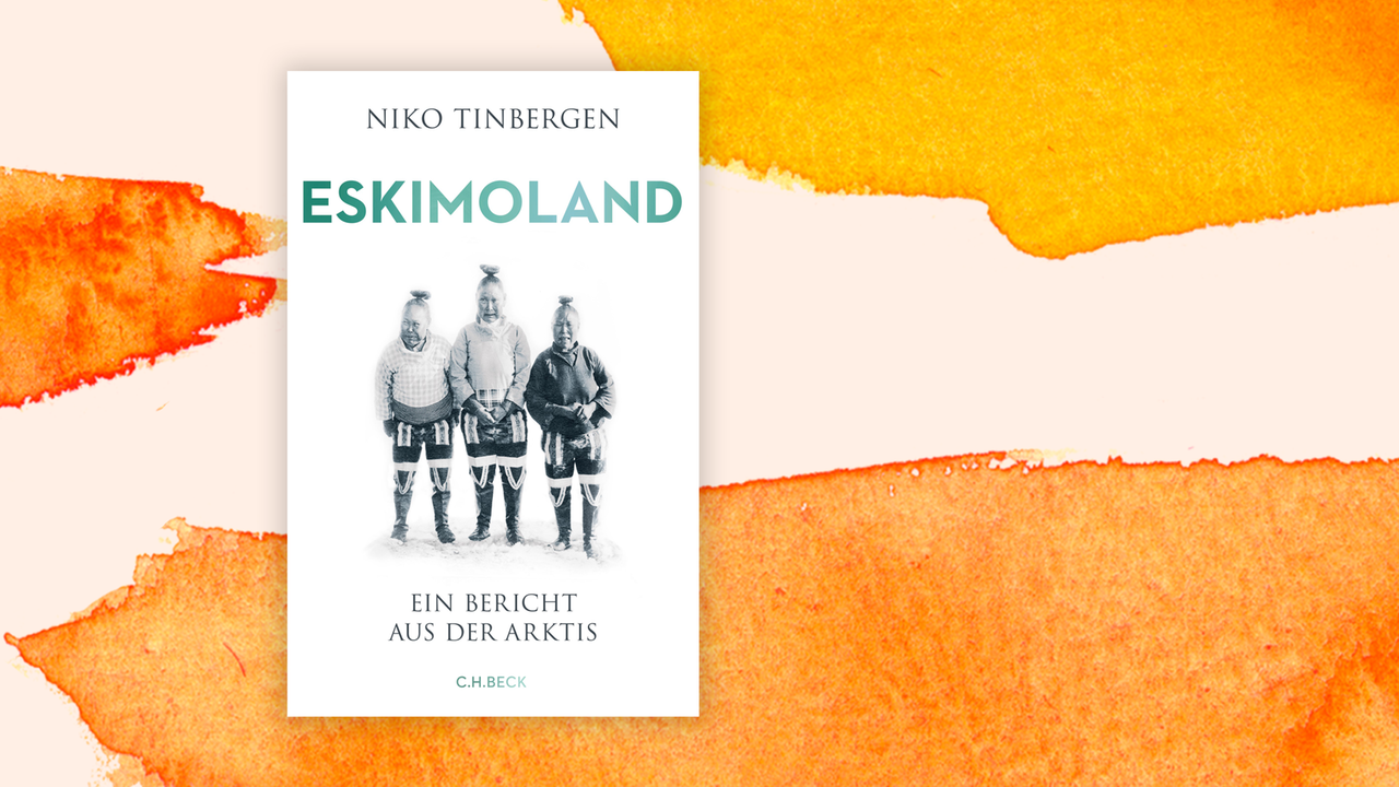 Essays in honour of Prof. Niko Tinbergen [engel-26564] main image 0