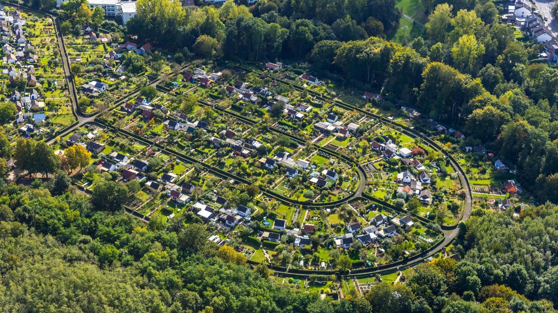Eine Bochumer Kleingartenkolonie in Hufeisenform aus der Vogelperspektive.