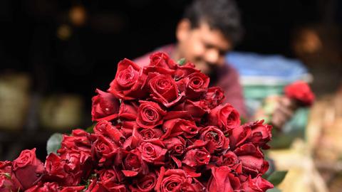 Ein Rosenverkäufer in Kalkutta am Vorabend des Valentinstags.