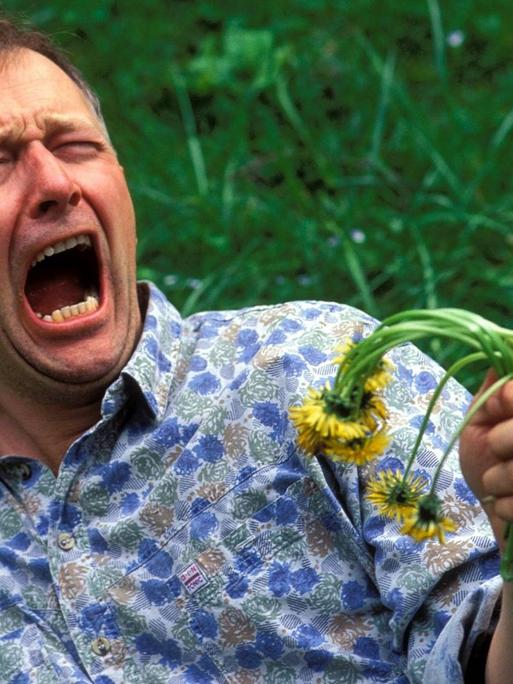 Verwelkt - Naturliebhaber bejammert den frühen Blumentod.