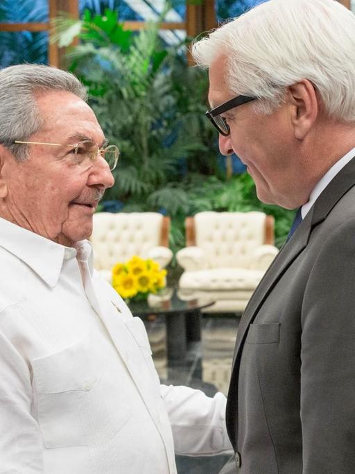Außenminister Frank-Walter Steinmeier (l) traf bei seinem ersten Kuba-Besuch Präsident Raúl Castro.