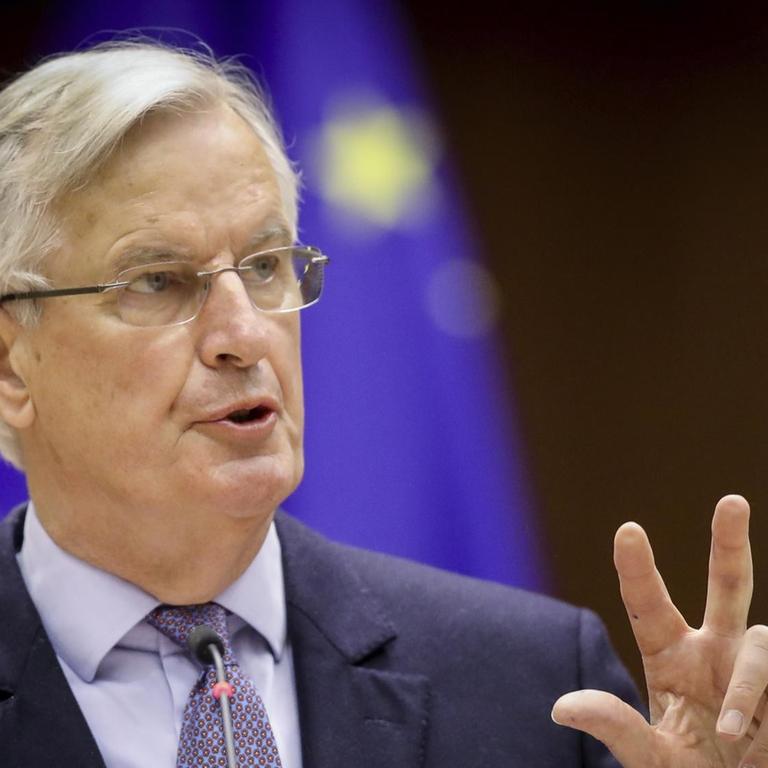 Der Leiter der Task Force für die Beziehungen der EU mit Großbritannien, Michel Barnier, bei einer Rede im Europaparlament in Brüssel 