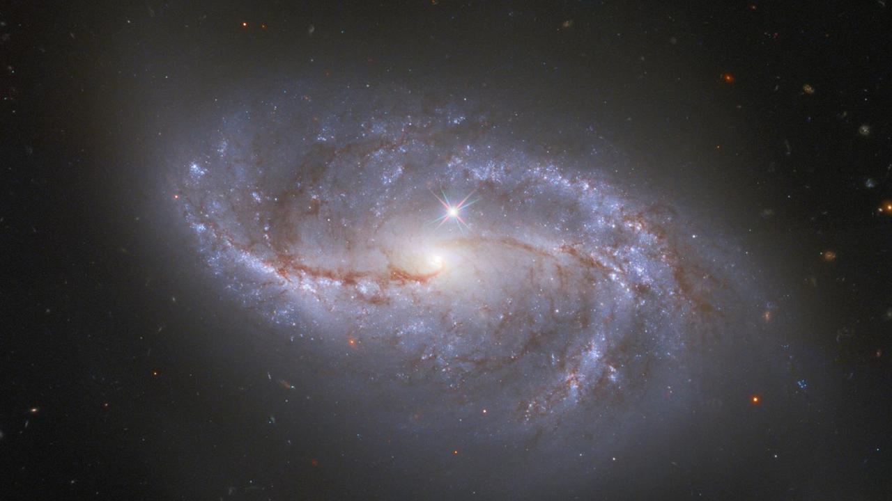 Spiralarme Die Spiralgalaxie mit gespaltenen Armen