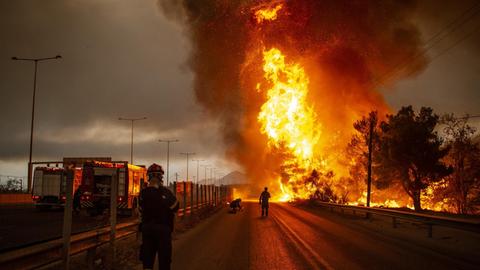 Feuerwehrleute bekämpfen einen Waldbrand in einem Waldgebiet nördlich von Athen.