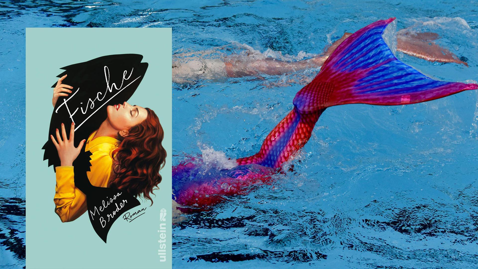 Cover von Melissa Broder: "Fische" und Schwimmer in Neumünster