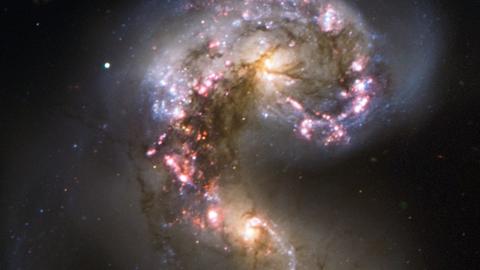 Die Antennen-Galaxien, bei denen zwei Sternsysteme miteinander kollidieren, zeigen aufgrund dieser Kollision derzeit eine extreme Sternentstehungsrate.