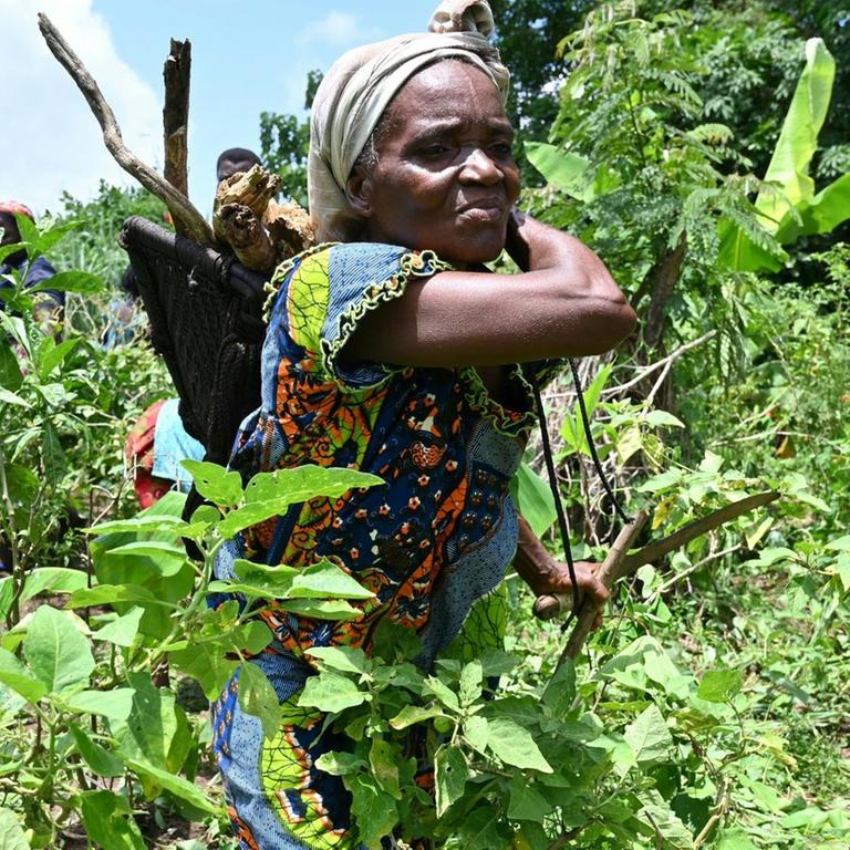 Mitglieder einer ökologischen Bauern-Kooperative im einem Feld nahe der Stadt Divo, Elfenbeinküste