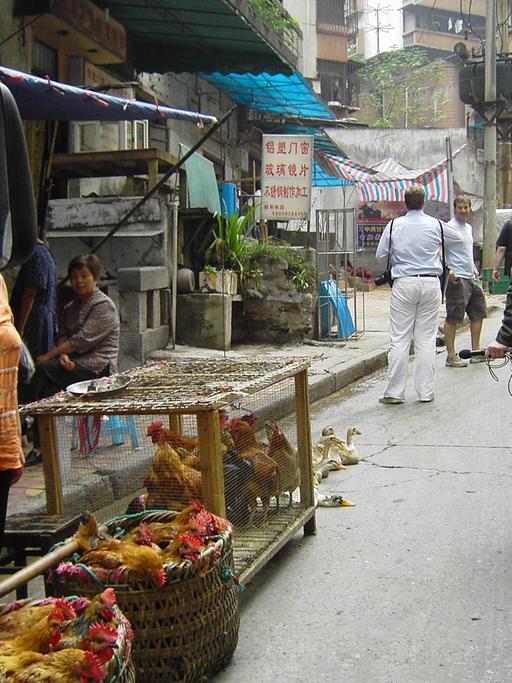 Ein Markt in China - zum Verkauf und Verzehr wird in dem Land auch Hunde- und Katzenfleisch geboten.