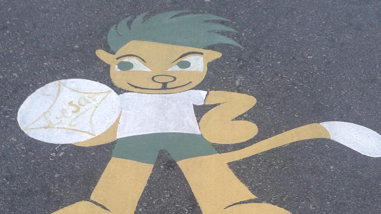 Das WM-Maskottchen Fuleco wurde auf eine Straße in Sao Paulo gemalt