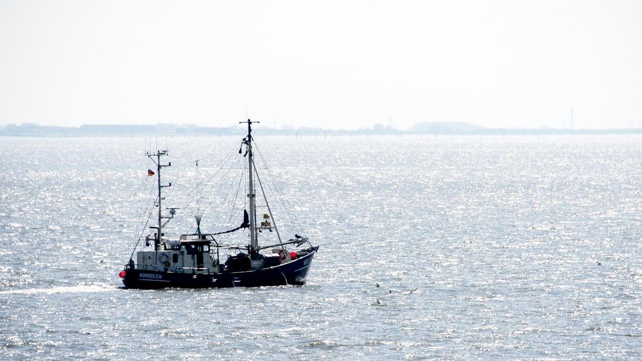 Das Foto zeigt einen Fischkutter im niedersächsischen Wattenmeer vor der Insel Norderney. Das Foto zeigt einen Fischkutter im niedersächsischen Wattenmeer vor der Insel Norderney.