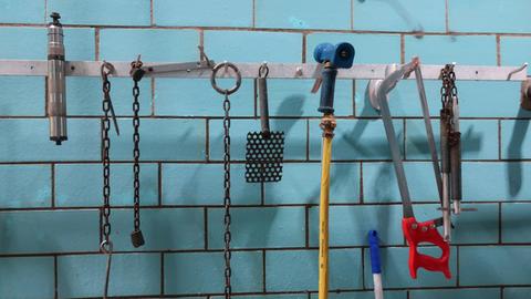 Blaue gekachelte Wand mit Gerätschaften zum schlachten die davor aufgehangen sind.