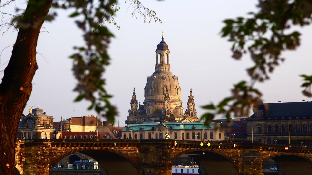Die Frauenkirche in Dresden, im Vordergrund unscharfe Zweige Die Frauenkirche in Dresden, im Vordergrund unscharfe Zweige