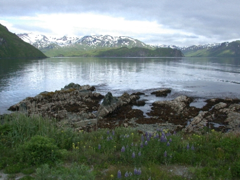 Landschaft auf der Insel Unalaska, einem Teil der Alëuten.