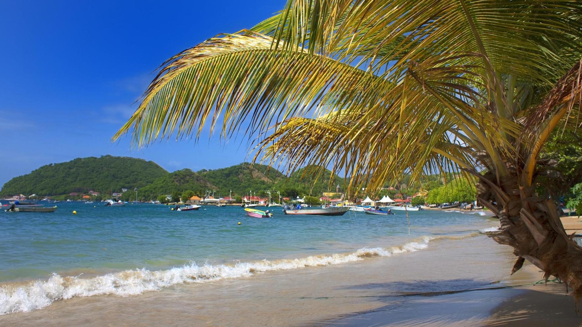 Ein Strand auf Guadeloupe in der Karibik. Die Insel gehört zu den französischen Überseedepartements.