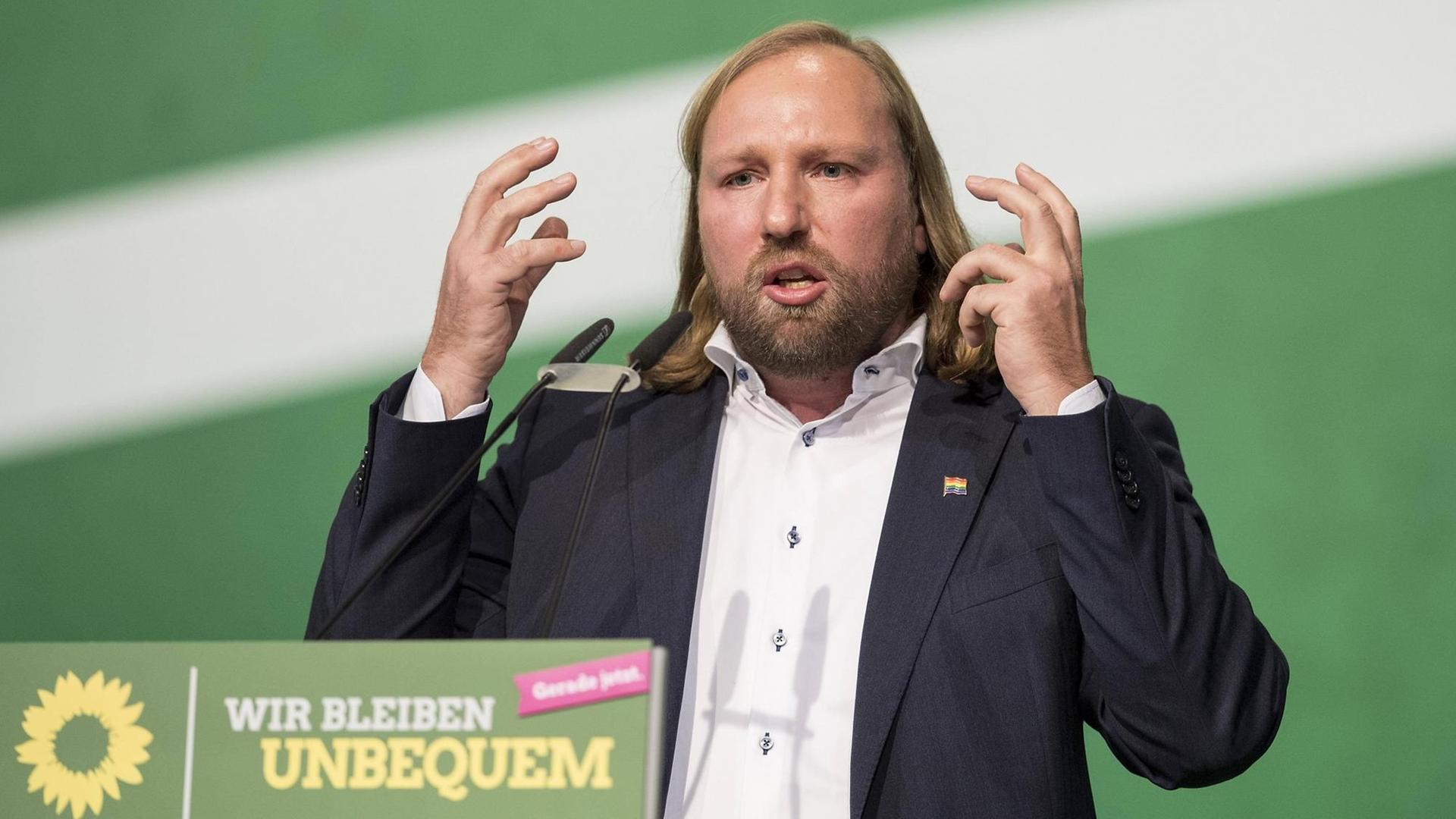 Der Grünen-Fraktionsvorsitzende Anton Hofreiter.