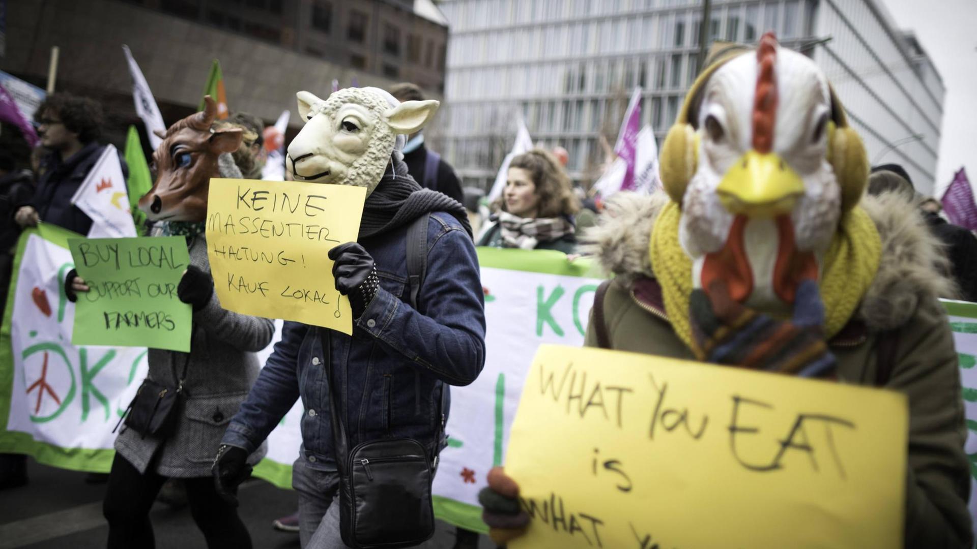 Demo gegen Massentierhaltung und TTIP Großdemonstration anlässlich der Agrarmesse Grüne Woche.