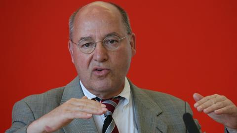 Der Fraktionschef der Linken im Bundestag, Gregor Gysi.