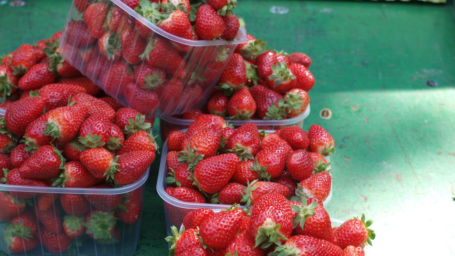 Mehrere Schalen mit Erdbeeren stehen auf einem Marktstand