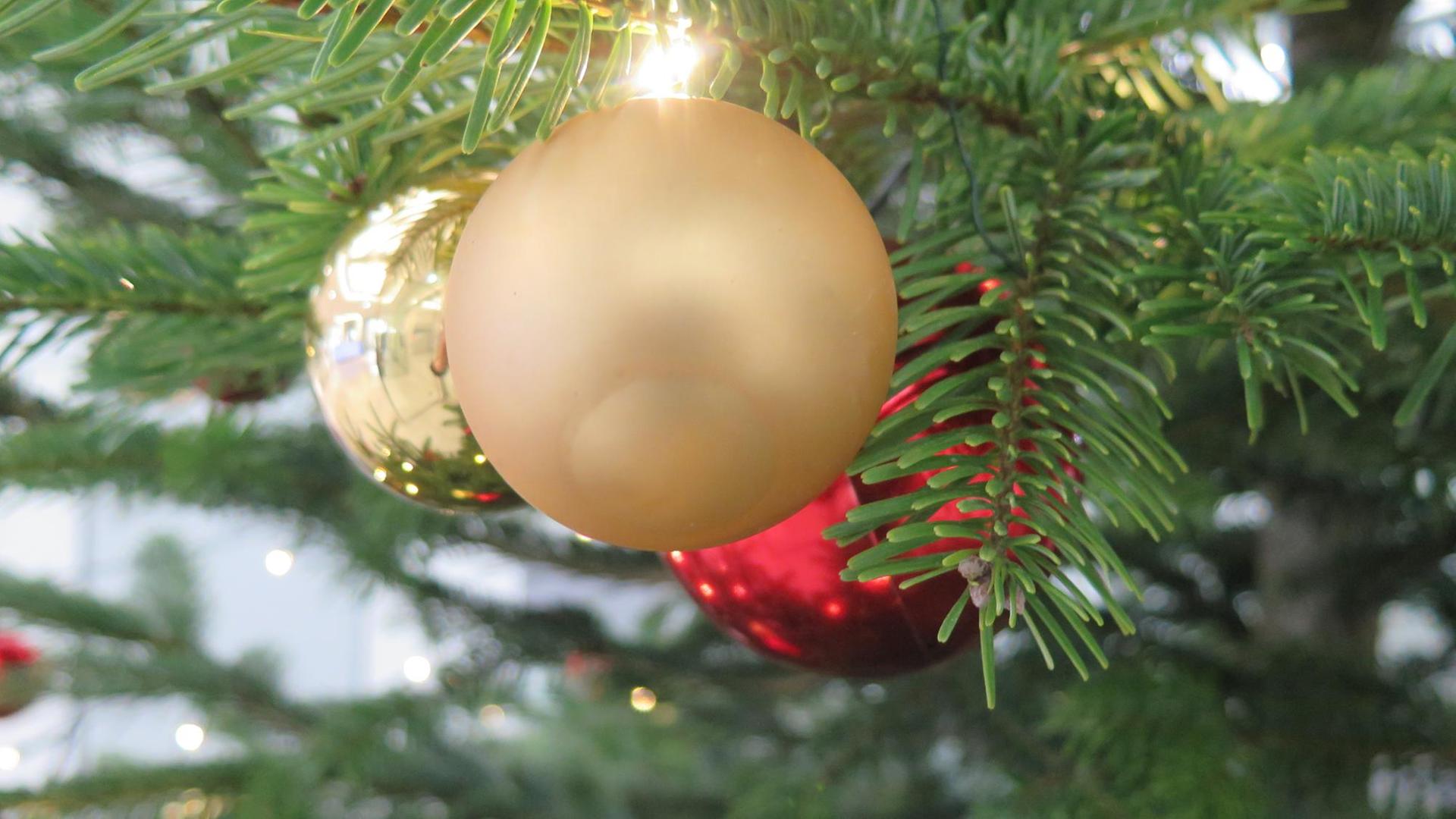 Drei Weihnachtskugeln in rot und gold hängen an einem Weihnachtsbaum.