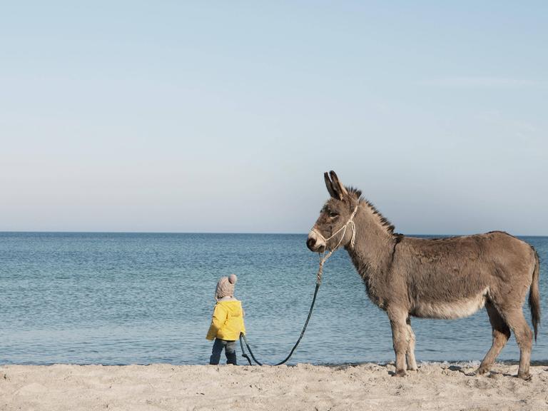Ein Esel steht an einem Sandstrand vor blauem Meer: Ein kleines Kind mit Mütze und gelber Jacke hält ihn dabei am Zügel.