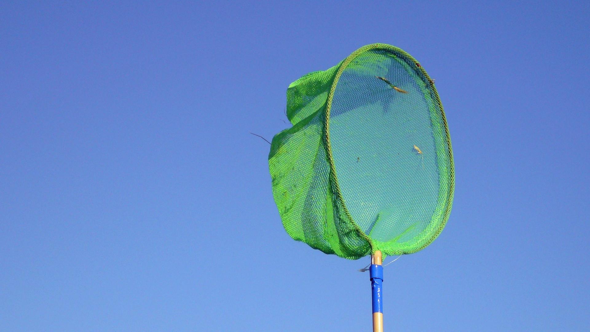 Ein grünes Fischernetz vor blauem Himmel