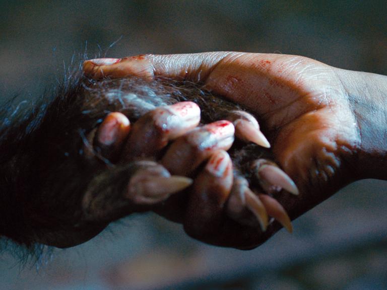 Die behaarte Hand eines Werwolfs hält die Hand einer Frau