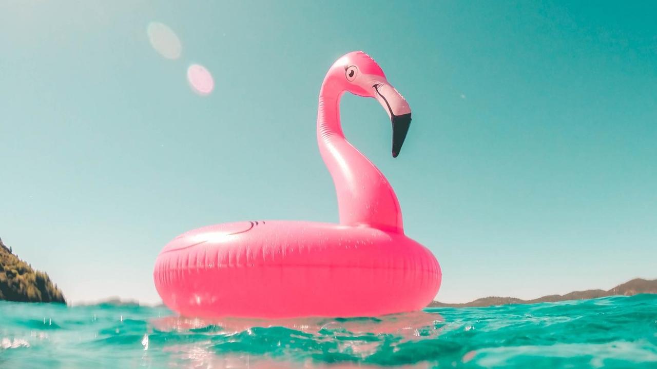 Ein pinker Gummiflamingo bei Sonnenschein im Pool