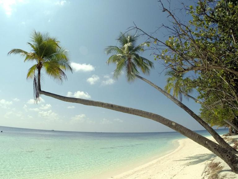 Palmenstrand auf einer Urlaubsinsel der Malediven des Ari Atolls, aufgenommen am 18.04.2014. Der Inselstaat Malediven liegt im indischen Ozean und besteht aus mehreren Atollen und mehr als 1.100 Inseln.