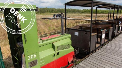 Einblick in die Moorlandschaft bietet eine Fahrt mit der Moorbahn