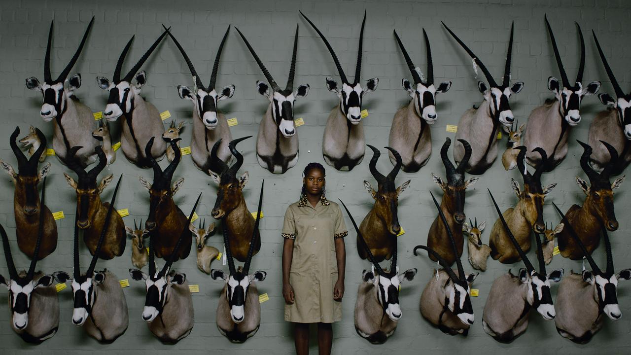 Afrikanerin inmitten einer Galerie bei der Jagd erlegter Tiere