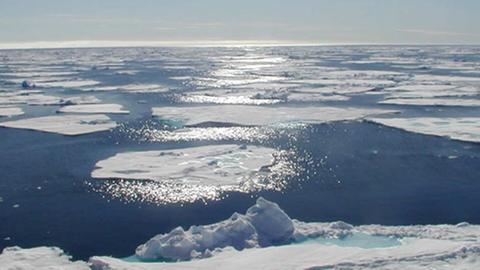 Noch ist im Sommer das Polarmeer in der Arktis von Eisschollen bedeckt.