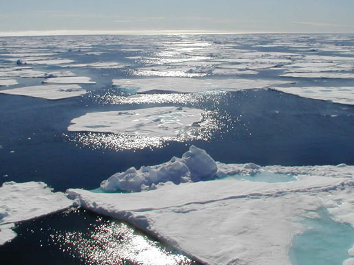 Im Sommer ist das Polarmeer in der Arktis von Eisschollen bedeckt.