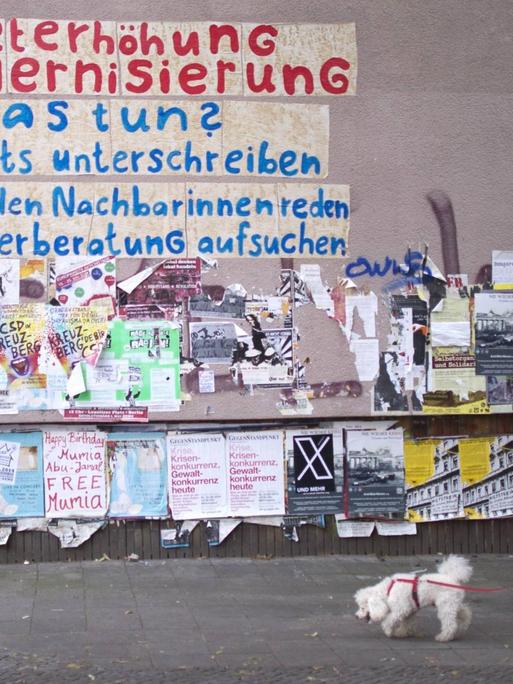 Graffiti an einer Hauswand: "Mieterhöhung, Modernisierung - was tun? 1. Nichts unterschreiben, 2. Mit Nachbarinnen reden, 3. Mieterberatung aufsuchen"
