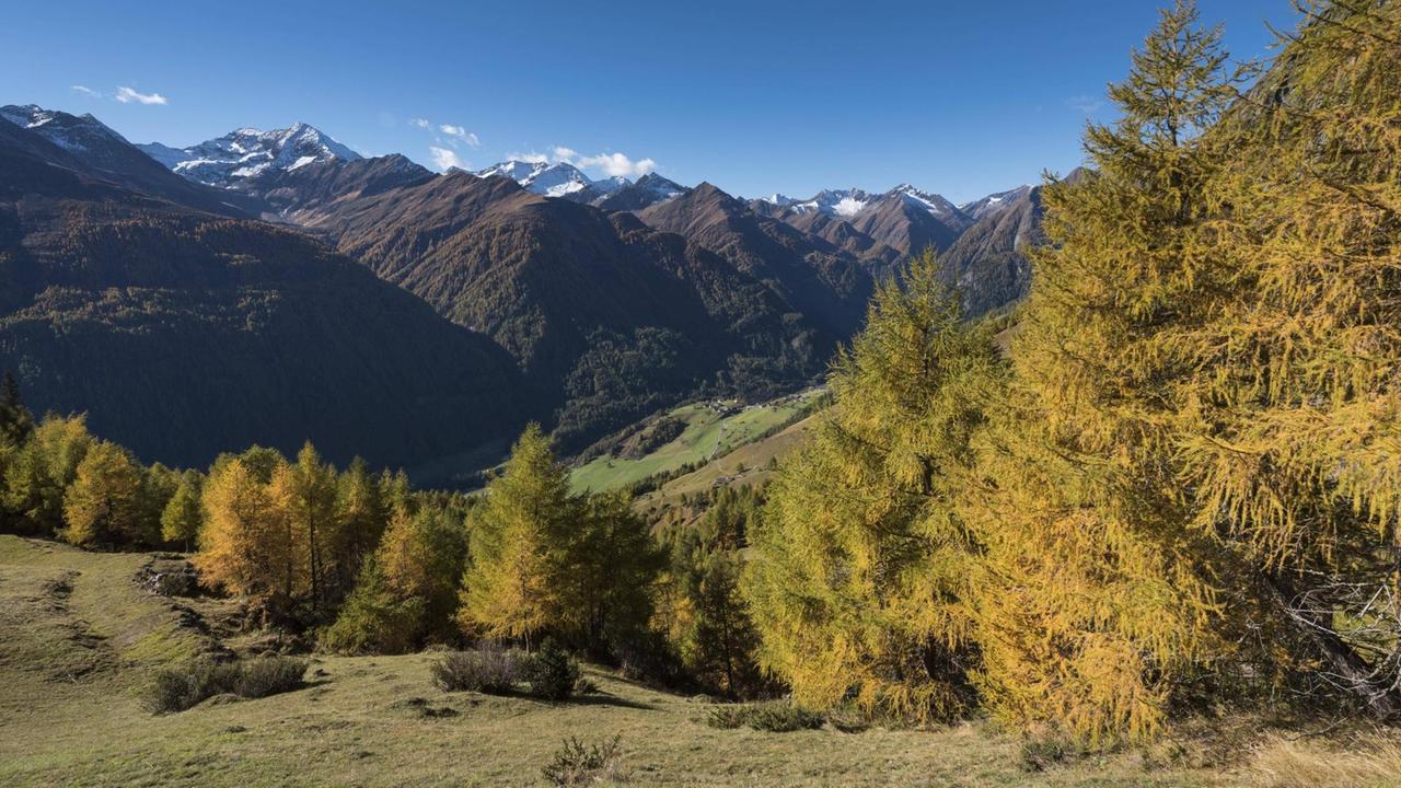 Bergwälder im Virgental in Osttirol