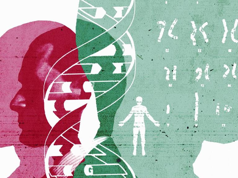 Eine Illustration zeigt Chromosome und Doppelhelix über den Silhouetten von rot und grün eingefärbten männlichen Köpfen. 